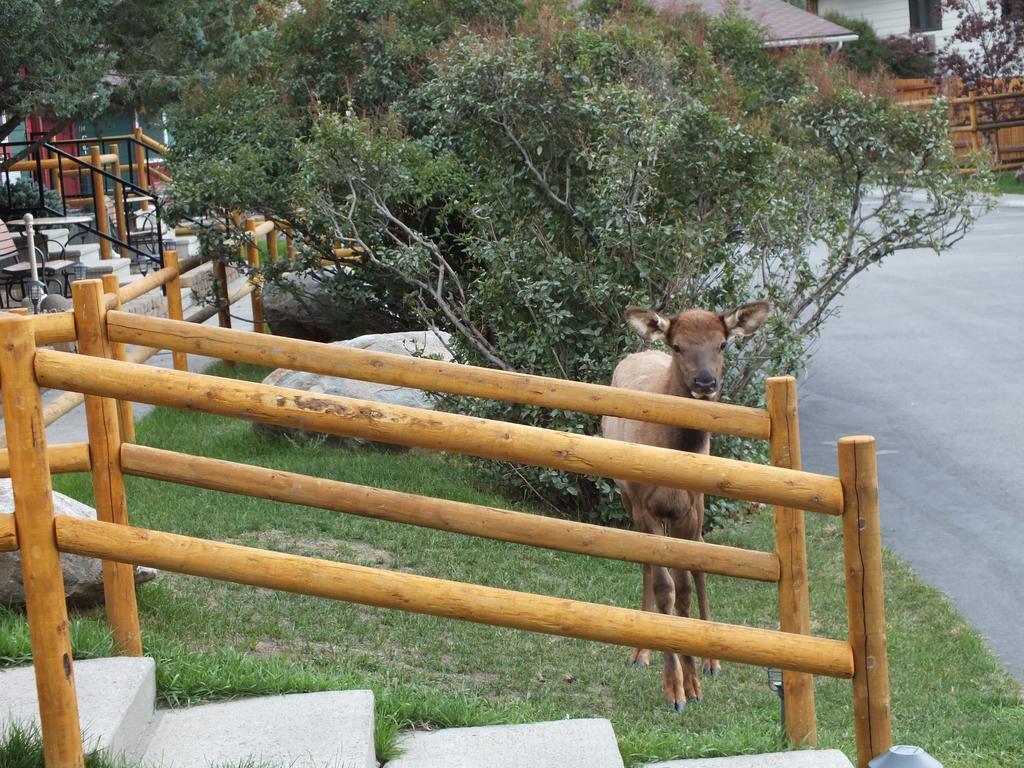 גרדינר Yellowstone Gateway Inn מראה חיצוני תמונה